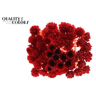 QC Shola Houten Bloemenmix op stok | Kleur: Rood | Shola Flower Mix Bijsteker| Lengte bijsteker ± 50 centimeter | Per 50 bijstekers