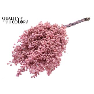 QC Dried Pepper Berries Picks | Colour: Pink | Schinus Dried Decoration | Weight ± 170 grams | Per 5 bunches