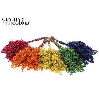 QC Dried Pepper Berries Sticks | Colour: Mixed Colours | Schinus Dried Decoration | Weight ± 170 grams | Per 5 bunches