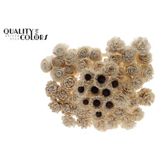 QC Shola Houten Bloemenmix op stok | Kleur: Naturel | Shola Flower Mix Bijsteker| Lengte bijsteker ± 50 centimeter | Per 50 bijstekers
