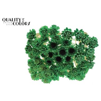 QC Shola Houten Bloemenmix op stok | Kleur: Mintgroen | Shola Flower Mix Bijsteker| Lengte bijsteker ± 50 centimeter | Per 50 bijstekers