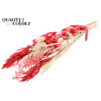 QC Flat Bouquet Dried Flowers “Ruby” | Colour: Red | Size: Medium | Length ± 60 centimetres | Per 5 bouquets