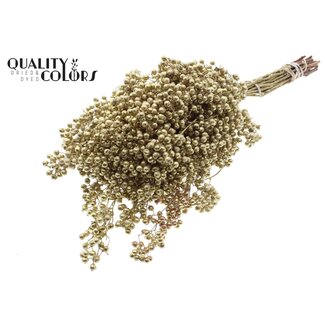 QC Gedroogde Peperbessen Bijstekers | Kleur: Goudkleurig | Schinus Droogdecoratie | Gewicht ± 170 gram | Per 5 bossen
