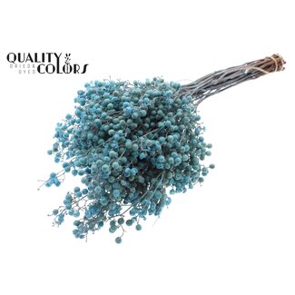 QC Gedroogde Peperbessen Bijstekers | Kleur: Lichtblauw | Schinus Droogdecoratie | Gewicht ± 170 gram | Per 5 bossen