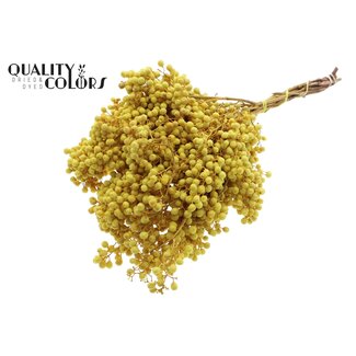QC Dried Pepper Berries Picks | Colour: Yellow | Schinus Dried Decoration | Weight ± 170 grams | Per 5 bunches