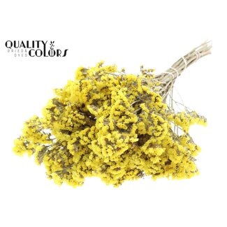 QC Gedroogde Statice Sinuata | Kleur: Naturelle Geel | Statice Droogbloemen | Lengte ± 45 centimeter | Per 6 bossen