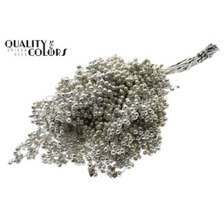 QC Dried Pepper Berry Picks | Colour: Platinum with Glitter | Schinus Dried Decoration | Weight ± 170 grams | Per 5 bunches