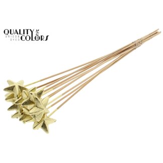 QC Styrofoam Ster op stok | Kleur: Goudkleurig | Styro Ster platte Bijsteker | Lengte ± 50 centimeter | Per 50 bijstekers