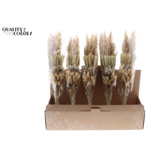 QC Gelaagd Boeket Droogbloemen “Natural” | Kleur: Naturelle | Lengte ± 50 centimeter | Per 5 boeketten