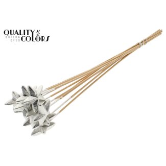 QC Styrofoam Star on a stick | Colour: Platinum-coloured | Styro Star flat Pick | Length ± 50 centimetres | Per 50 picks