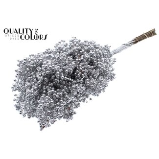 QC Dried Pepper Berry Sticks | Colour: Silver | Schinus Dried Decoration | Weight ± 170 grams | Per 5 bunches