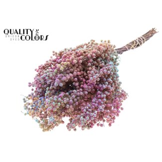 QC Dried Pepper Berries Sticks | Colour: Pink Gradient | Schinus Dried Decoration | Weight ± 170 grams | Per 5 bunches