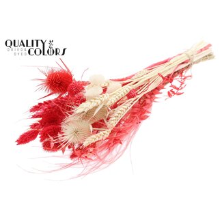 QC Round Bouquet of Dried Flowers “Ruby” | Colour: Red | Size: Small | Length ± 50 centimetres | Per 8 bouquets