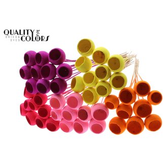 QC Dried Bellgums | Colour: Intense Mixed Colours | Bell Cup Pick | Length ± 50 centimetres | Per 50 picks