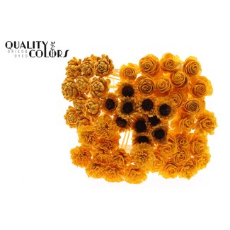 QC Shola Wooden Flower Mix on Stick | Colour: Apricot | Shola Flower Mix Stick | Stick Length ± 50 centimetres | Per 50 sticks