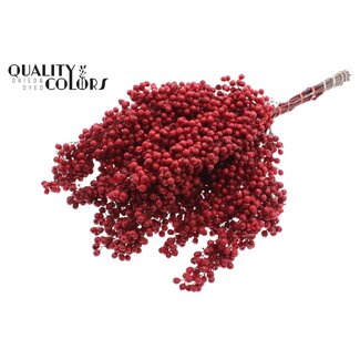 QC Gedroogde Peperbessen Bijstekers | Kleur: Rood | Schinus Droogdecoratie | Gewicht ± 170 gram | Per 5 bossen