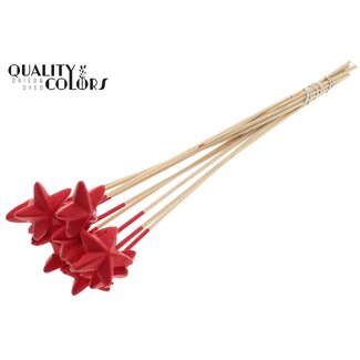 QC Styrofoam Star on stick | Colour: Red | Styro Star flat Pick | Length ± 50 centimetres | Per 50 picks