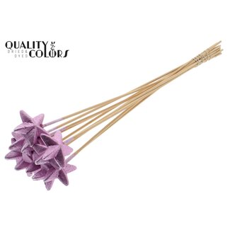 QC Styrofoam Star on a stick | Colour: Metallic Pink | Styro Star flat Pick | Length ± 50 centimetres | Per 50 picks