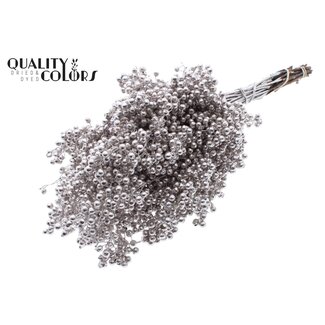 QC Dried Pepper Berries Picks | Colour: Champagne | Schinus Dried Decoration | Weight ± 170 grams | Per 5 bunches