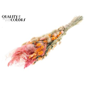 QC Plat Boeket Droogbloemen “Blush” | Kleur: Abrikooskleurig | Grootte: Large | Lengte ± 70 centimeter | Per 5 boeketten