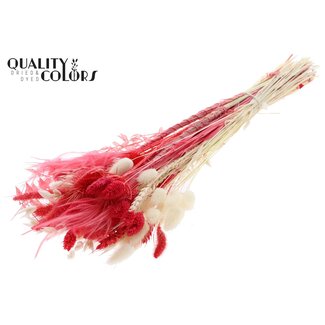 QC Rond Boeket Droogbloemen “Ruby” | Kleur: Rood | Grootte: Large | Lengte ± 70 centimeter | Per 5 boeketten