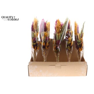 QC Gelaagd Boeket Droogbloemen “Pumpkin Spice” | Kleur: Gemengde Kleuren | Lengte ± 50 centimeter | Per 5 boeketten