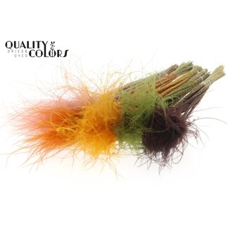 QC Gedroogd Stipa Vedergras | Earth Mix | Kleur: Gemengde Kleuren | Stypha Penata Droogbloemen | Lengte ± 60 centimeter | 10 pluimpjes per bos | Per 10 bossen