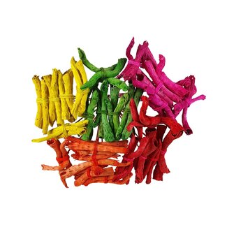 QC Gandiraj Schors op stok Boeket | Kleur: Gemengde Kleuren | Gandiraj Bijsteker | Lengte ± 50 centimeter | 25 bijstekers per bos