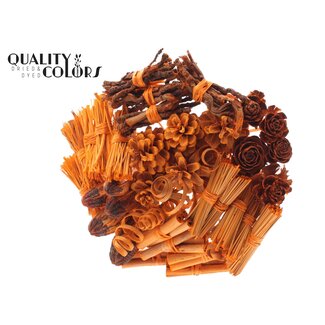 QC Bouquet Mix on stick | Colour: Orange | Length of stick-in ± 50 centimetres | 40 stick-ins per bunch | Per 10 bunches