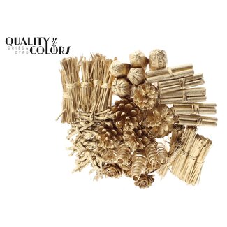 QC Bouquet Mix on Stick | Colour: Antique Gold | Length of stick-in ± 50 centimetres | 40 stick-ins per bunch | Per 10 bunches