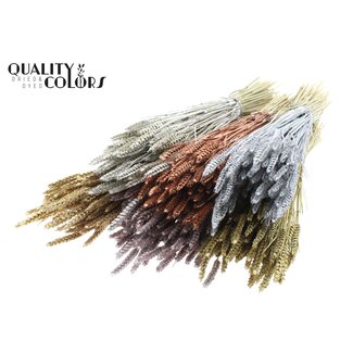 QC Dried Wheat | Colour: Metallic Mixed Colours with Glitter | Triticum Dried Flowers | Length ± 60 centimetres | Weight 220 grams | Per 6 bunches