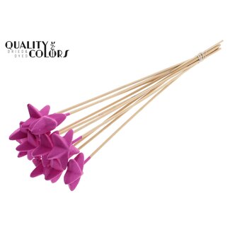 QC Styrofoam Star on stick | Colour: Cherry-coloured | Styro Star flat Insert Stick | Length ± 50 centimetres | Per 50 insert sticks