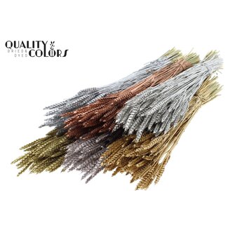 QC Gedroogde Tarwe | Kleur: Metallic Gemengde Kleuren | Triticum Droogbloemen | Lengte ± 60 centimeter | Gewicht 220 gram | Per 6 bossen