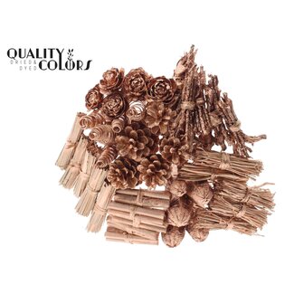 QC Boeket Mix op stok | Kleur: Koperkleurig | Lengte bijsteker ± 50 centimeter | 40 bijstekers per bos | Per bos