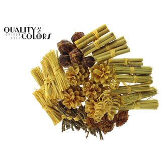 QC Boeket Mix op stok | Kleur: Geel | Lengte bijsteker ± 50 centimeter | 40 bijstekers per bos | Per bos