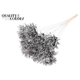 QC Shola Dennenhouten Bloem op stok | Kleur: Platinakleurig | Shola Slice Pine Bijsteker | Diameter bloem 6 centimeter | Lengte ± 50 centimeter | 10 bijstekers per bos