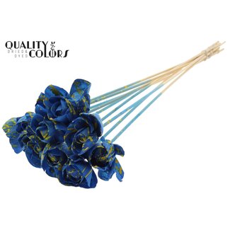 QC Shola Houten Roos op stok | Kleur: Gespetterd Blauw Geel | Shola Dear Holly Bijsteker | Diameter roos 6 centimeter | Lengte bijsteker ± 50 centimeter | 10 bijstekers per bos