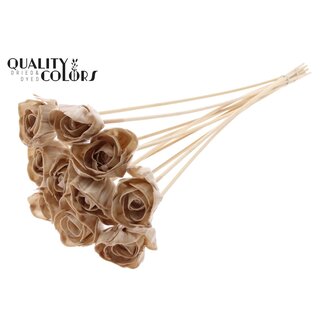 QC Shola Houten met was Roos op stok | Kleur: Beige | Shola Dear Holly Bijsteker | Diameter roos 6 centimeter | Lengte bijsteker ± 50 centimeter | 10 bijstekers per bos
