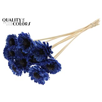 QC Shola Houten met was Madelief Zonnebloem op stok | Kleur: Blauw | Shola Daisy Sunflower Bijsteker | Diameter bloem 6 centimeter | Lengte bijsteker ± 50 centimeter | 10 bijstekers per bos