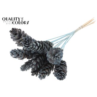 QC Strobus Pinecone on Stick | Colour: Frosted Light Blue | Pinecone Insert Stick | Diameter 10 - 15 centimetres | Length ± 50 centimetres | 10 insert sticks per bunch