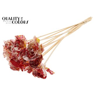 QC Shola Wooden Rose on stick | Colour: Multicoloured Red Yellow | Shola Dear Holly Stick | Rose diameter 6 centimetres | Stick length ± 50 centimetres | 10 sticks per bunch