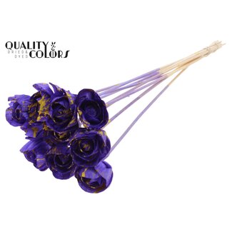 QC Shola Houten Roos op stok | Kleur: Gespetterd Paars Geel | Shola Dear Holly Bijsteker | Diameter roos 6 centimeter | Lengte bijsteker ± 50 centimeter | 10 bijstekers per bos