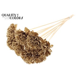 QC Shola Houten Karnish Bloem op stok | Kleur: Antiek Goudkleurig | Shola Karnish Flower Bijsteker | Diameter bloem 6 centimeter | Lengte bijsteker ± 50 centimeter | 10 bijstekers per bos
