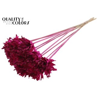 QC Shola Pine Flower on Stick | Colour: Lilac | Shola Slice Pine Pick | Flower diameter 6 centimetres | Length ± 50 centimetres | 10 picks per bunch