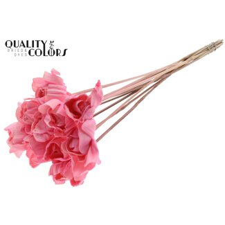 QC Shola Houten Roos op stok | Kleur: Lichtroze | Shola Dear Holly Bijsteker | Diameter roos 6 centimeter | Lengte bijsteker ± 50 centimeter | 10 bijstekers per bos