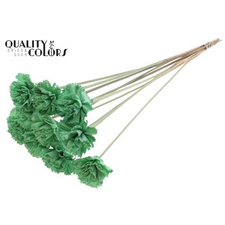 QC Shola Houten Karnish Bloem op stok | Kleur: Mintgroen | Shola Karnish Flower Bijsteker | Diameter bloem 6 centimeter | Lengte bijsteker ± 50 centimeter | 10 bijstekers per bos