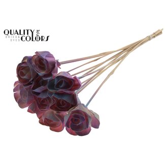 QC Shola Houten Roos op stok | Kleur: Roze Kleurverloop | Shola Dear Holly Bijsteker | Diameter roos 6 centimeter | Lengte bijsteker ± 50 centimeter | 10 bijstekers per bos