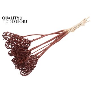 QC Rotan Lata Hart op stok | Kleur: Bruin | Lata Heart platte Bijsteker | Lengte ± 50 centimeter | 10 bijstekers per bos