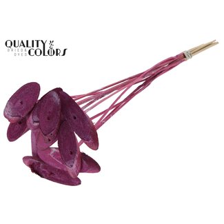 QC Ovalen Houtschijf op stok | Kleur: Metallic Roze | Houtschijf Bijsteker | Diameter 5 - 7 centimeter | Lengte ± 50 centimeter | 10 bijstekers per bos