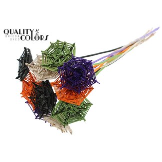 QC Rattan Lata horizontal Spiderweb on stick “Halloween” | Colour: Mixed Colours | Lata Spiderweb flat Plant Stake | Length ± 50 centimetres | 10 plant stakes per bunch